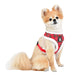 BLITZEN PUPPIA DOG HARNESS A, Harness - Bones Bizzness