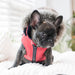 ORSON DOG DOG COAT - Red / Navy / Brown / Camo