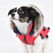 ORSON DOG DOG COAT - Red / Navy / Brown / Camo