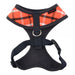 BAXTER PUPPIA DOG HARNESS A, Harness - Bones Bizzness