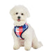 QUINN PUPPIA DOG HARNESS A