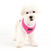 SOFT HARNESS® II  -WINE / PINK / SKY BLUE / NAVY / BLACK /  ORANGE / GREEN