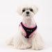 SOFT VEST HARNESS® II - WINE / PINK / SKY BLUE / NAVY / BLACK / ORANGE / GREEN