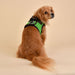 SOFT VEST HARNESS® II - WINE / PINK / SKY BLUE / NAVY / BLACK / ORANGE / GREEN