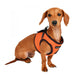 SOFT VEST HARNESS® II - WINE / PINK / SKY BLUE / NAVY / BLACK / ORANGE / GREEN