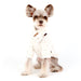 ORABEL DOG SHIRT - IVORY / CHARCOAL GREY