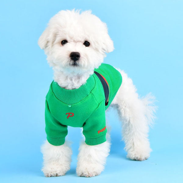 BLAZE DOG SHIRT - GREEN / NAVY