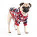 BLITZEN CHRISTMAS DOG SHIRT