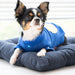 TOUCHDOWN DOG SHIRT -ROYAL BLUE / BLACK