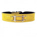 HAMILTON COLLECTION DOG LEAD IN CANARY YELLOW PATENT & NICKEL, Leash - Bones Bizzness