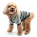 PATTERN HOODIE DOG SWEATER, Sweaters - Bones Bizzness