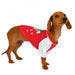 SNIFFER DOG SHIRT - RED / NAVY