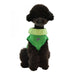 CADDIE DOG SHIRT - GREEN