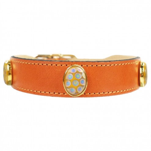 PEACOCK IN TANGERINE DOG COLLAR