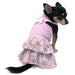 PINEAPPLE PINK DOG DRESS, Dress - Bones Bizzness