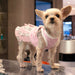 PINEAPPLE PINK DOG DRESS, Dress - Bones Bizzness