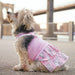 PINEAPPLE PINK DOG DRESS, Dress - Bones Bizzness