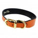 GEORGIA ROSE IN TANGERINE & GOLD W/PINK & GREEN DOG COLLAR, Collars - Bones Bizzness