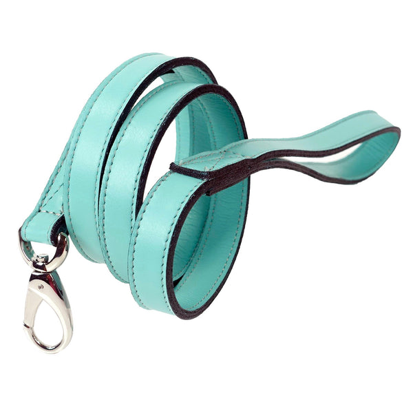 DAISY DOG LEAD IN TURQUOISE & NICKEL, Leash - Bones Bizzness