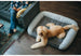 CALIFORNIA DREAMING MEMORY FOAM DOG BED, Beds - Bones Bizzness