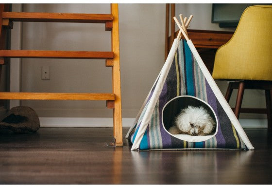 HORIZON PET TEEPEE - LAKE