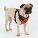 PUPPIA LIFE TREK SAFETY DOG HARNESS F, Harness - Bones Bizzness