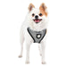 BLACK LEGACY PUPPIA HARNESS A, Harness - Bones Bizzness