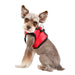 PUPPIA LEGACY VEST HARNESS  B, Harness - Bones Bizzness