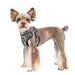 LEGACY PUPPIA HARNESS C, Harness - Bones Bizzness