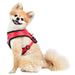 PUPPIA LEGACY SNUGFIT HARNESS E, Harness - Bones Bizzness