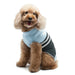 STAR & STRIPES PP DOG SWEATER