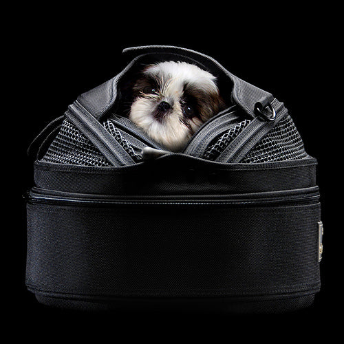 SLEEPYPOD ALL-IN-ONE PET BED - BLACK, Carriers - Bones Bizzness