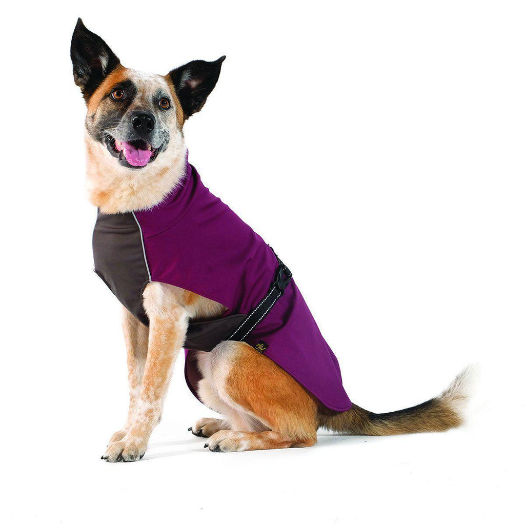 BEETROOT/GRAPHITE BEAN RAIN PAW DOG COAT