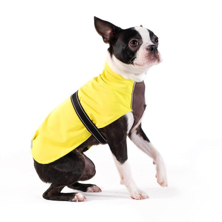 NEON YELLOW/GRAPHITE BEAN RAIN PAW DOG COAT