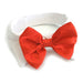 RED SATIN DOG BOW TIE AND COLLAR, ACCESSORIES - Bones Bizzness