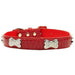 FAUX CROC CRYSTAL BONE DOG COLLAR - Bones Bizzness