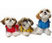 BASE JUMPER PUPPIA RAINCOAT, Coats - Bones Bizzness