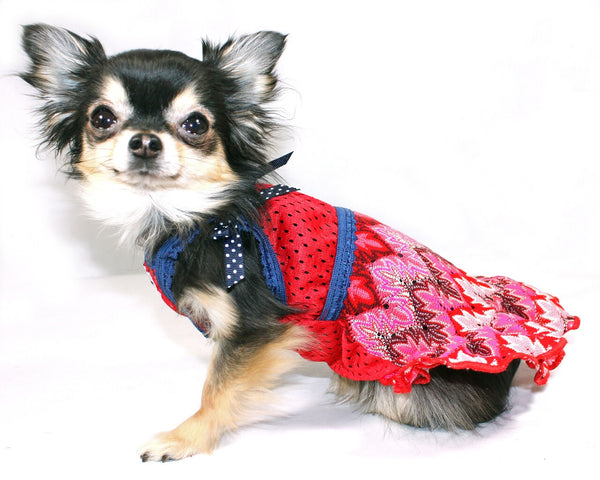 MUTTSONI LACE DOG DRESS