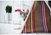 HORIZON DOG TEEPEE (4 COLORS), Beds - Bones Bizzness