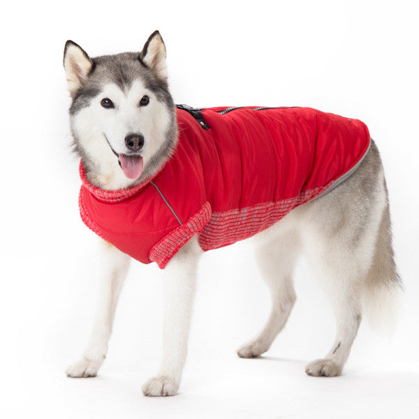 RUNNER DOG COAT RED, Coats - Bones Bizzness