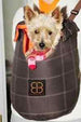 LENIS PACK - VELVET DOG  CARRIER, Carriers - Bones Bizzness