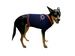 CHICAGO BEARS DOG SWEATER, NFL Jerseys - Bones Bizzness