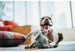SAFARI DOG TOY COLLECTION, Toys - Bones Bizzness