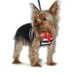 EASYGO SAILOR DOG HARNESS, Harness - Bones Bizzness