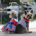 SAILOR GIRL DOG DRESS WITH MATCHING LEASH, Dress - Bones Bizzness