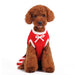 SANTA GIRL RED SWEATER DOG DRESS, Sweaters - Bones Bizzness