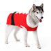 SANTA DOG SWEATER, Sweaters - Bones Bizzness