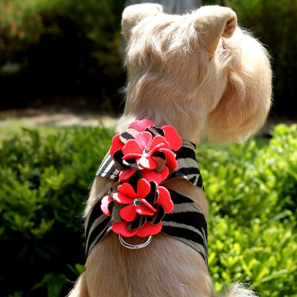 SARAH TINKIE HARNESS BY SUSAN LANCI, Harness - Bones Bizzness