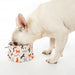 SCOUT AND ABOUT TRAVEL DOG/PET BOWL, Travel Bowls - Bones Bizzness