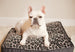 SERENGETI DOG BED - COPPER/DARK GREY, Beds - Bones Bizzness